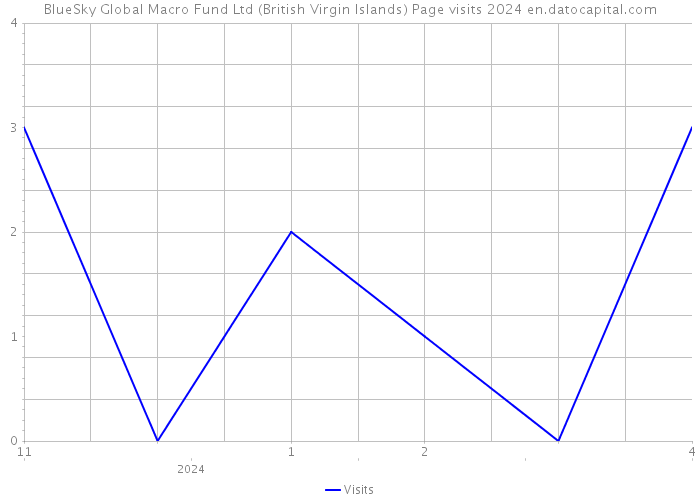BlueSky Global Macro Fund Ltd (British Virgin Islands) Page visits 2024 