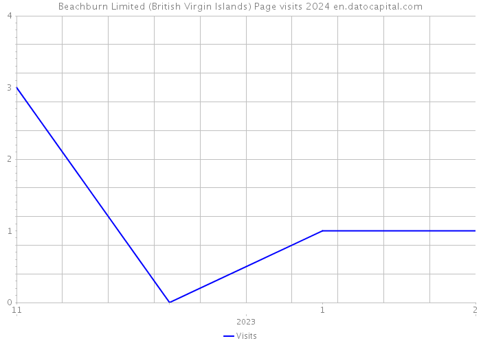 Beachburn Limited (British Virgin Islands) Page visits 2024 