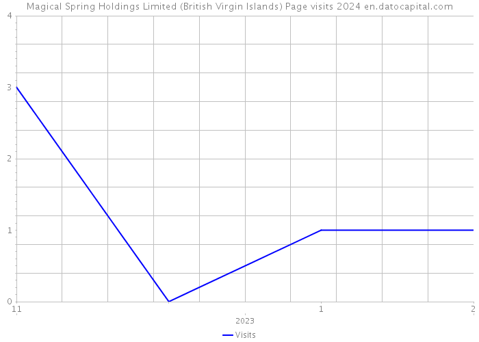 Magical Spring Holdings Limited (British Virgin Islands) Page visits 2024 