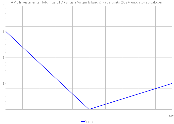 AML Investments Holdings LTD (British Virgin Islands) Page visits 2024 