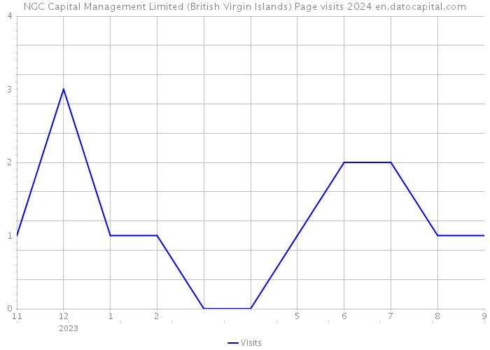 NGC Capital Management Limited (British Virgin Islands) Page visits 2024 