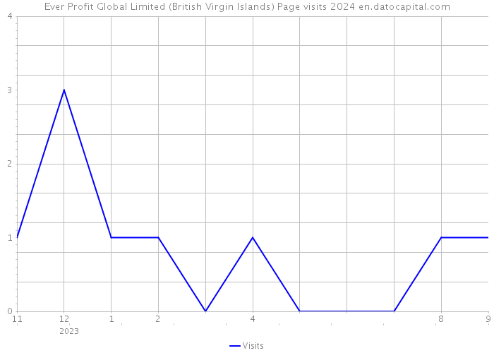 Ever Profit Global Limited (British Virgin Islands) Page visits 2024 