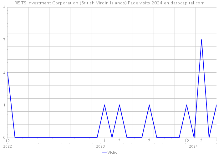REITS Investment Corporation (British Virgin Islands) Page visits 2024 
