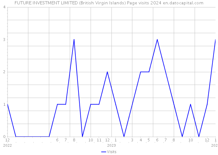 FUTURE INVESTMENT LIMITED (British Virgin Islands) Page visits 2024 