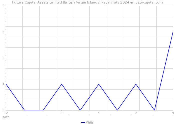 Future Capital Assets Limited (British Virgin Islands) Page visits 2024 