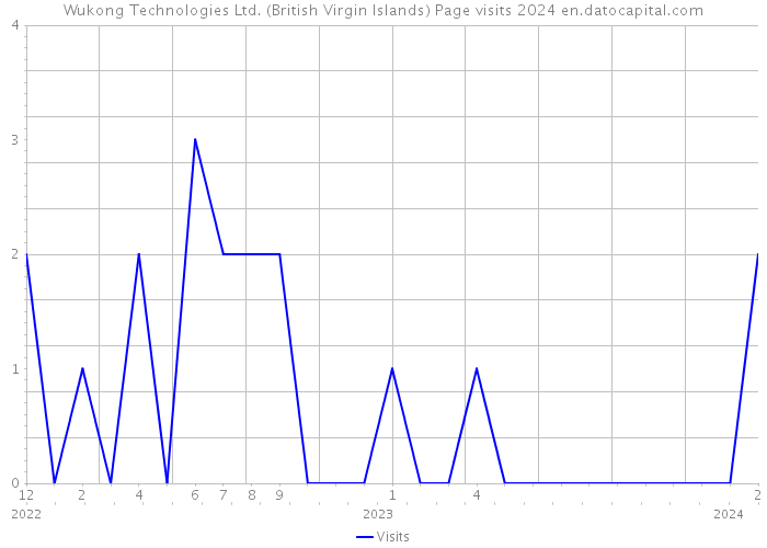 Wukong Technologies Ltd. (British Virgin Islands) Page visits 2024 
