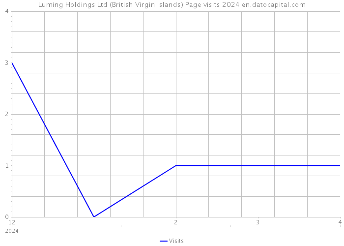 Luming Holdings Ltd (British Virgin Islands) Page visits 2024 