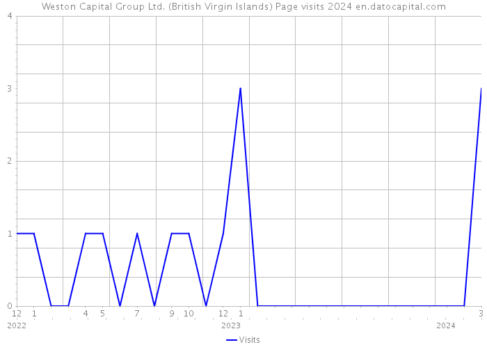 Weston Capital Group Ltd. (British Virgin Islands) Page visits 2024 