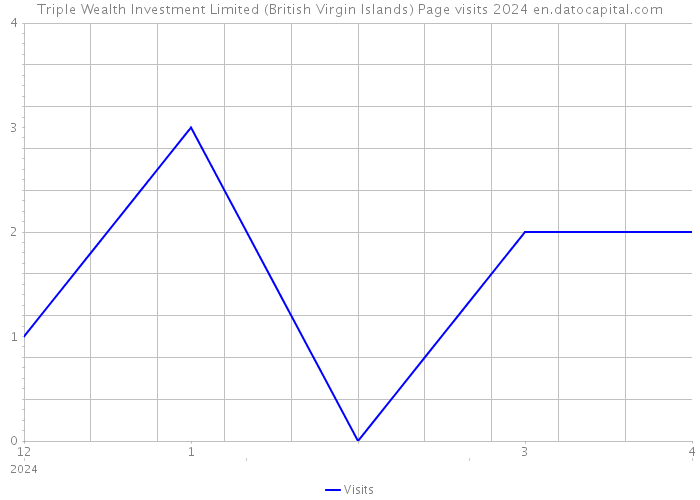 Triple Wealth Investment Limited (British Virgin Islands) Page visits 2024 