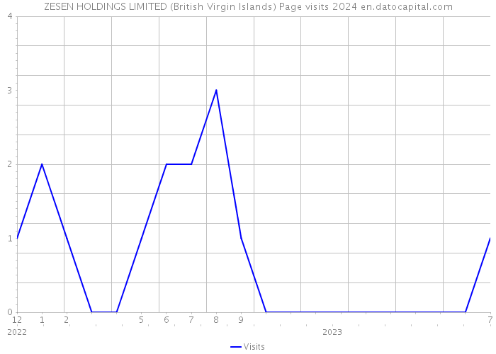 ZESEN HOLDINGS LIMITED (British Virgin Islands) Page visits 2024 
