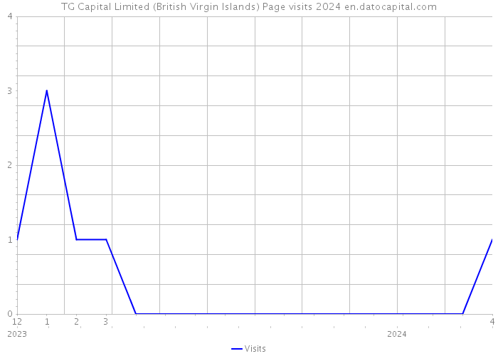 TG Capital Limited (British Virgin Islands) Page visits 2024 