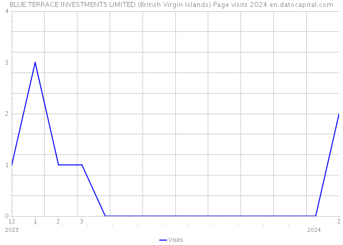 BLUE TERRACE INVESTMENTS LIMITED (British Virgin Islands) Page visits 2024 