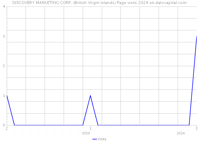 DISCOVERY MARKETING CORP. (British Virgin Islands) Page visits 2024 