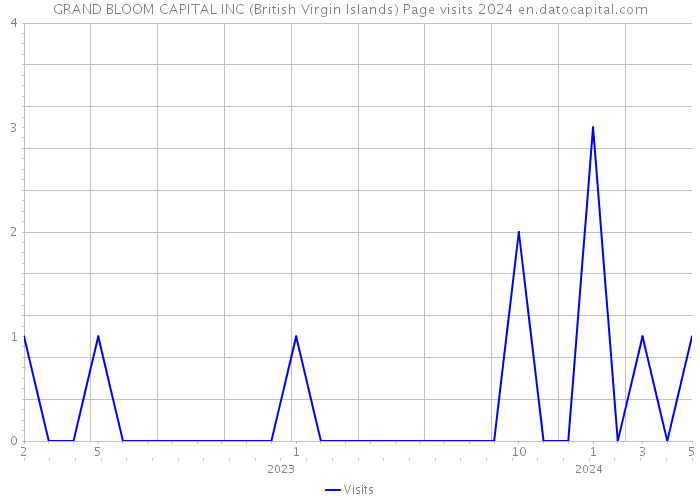 GRAND BLOOM CAPITAL INC (British Virgin Islands) Page visits 2024 