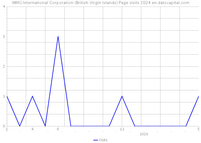 WMG International Corporation (British Virgin Islands) Page visits 2024 