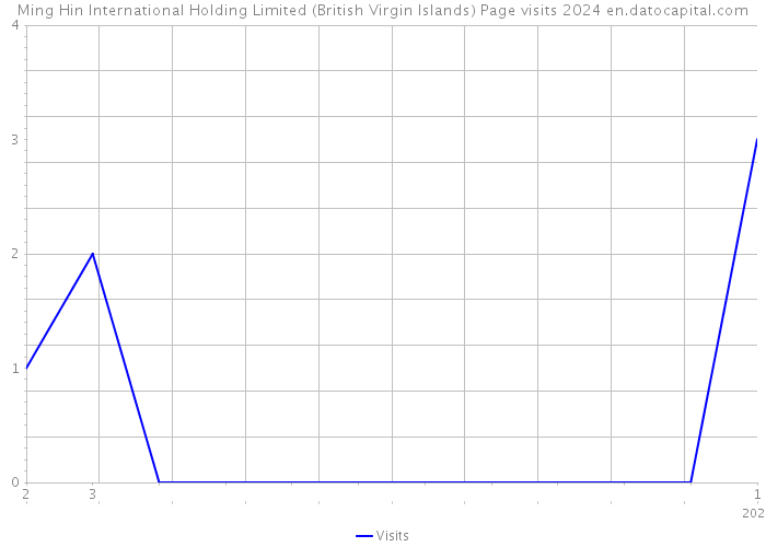 Ming Hin International Holding Limited (British Virgin Islands) Page visits 2024 