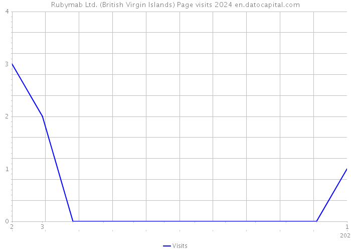 Rubymab Ltd. (British Virgin Islands) Page visits 2024 
