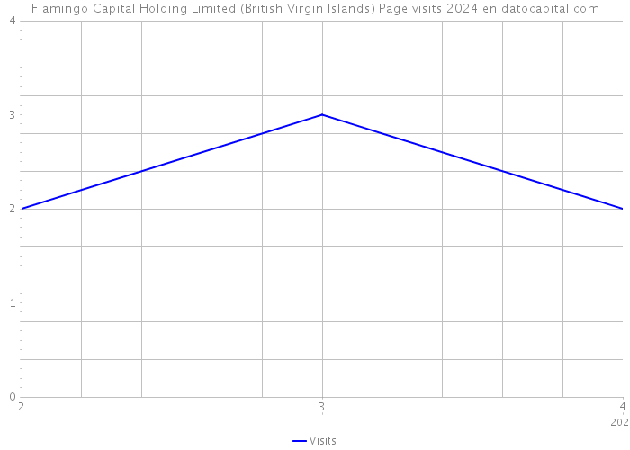 Flamingo Capital Holding Limited (British Virgin Islands) Page visits 2024 