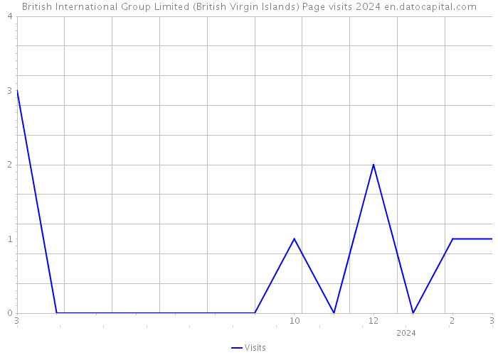British International Group Limited (British Virgin Islands) Page visits 2024 