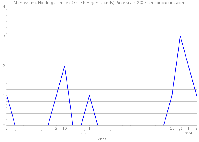 Montezuma Holdings Limited (British Virgin Islands) Page visits 2024 
