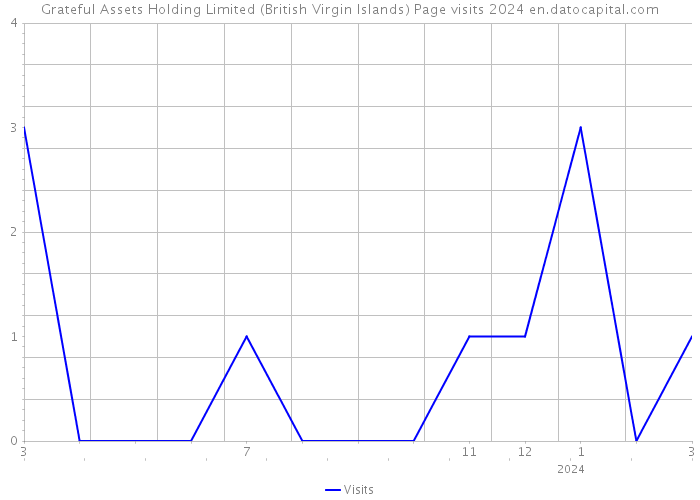 Grateful Assets Holding Limited (British Virgin Islands) Page visits 2024 