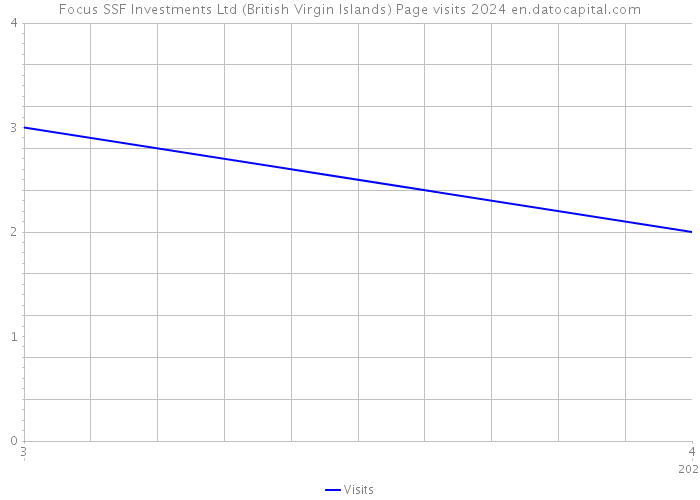 Focus SSF Investments Ltd (British Virgin Islands) Page visits 2024 
