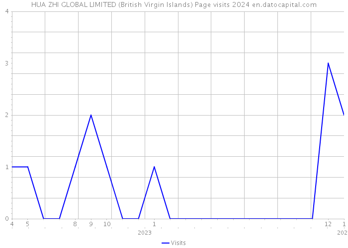 HUA ZHI GLOBAL LIMITED (British Virgin Islands) Page visits 2024 