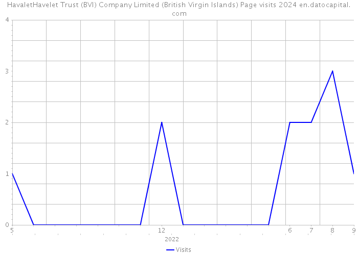 HavaletHavelet Trust (BVI) Company Limited (British Virgin Islands) Page visits 2024 