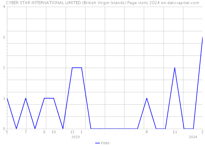 CYBER STAR INTERNATIONAL LIMITED (British Virgin Islands) Page visits 2024 