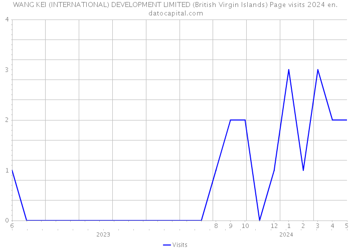 WANG KEI (INTERNATIONAL) DEVELOPMENT LIMITED (British Virgin Islands) Page visits 2024 