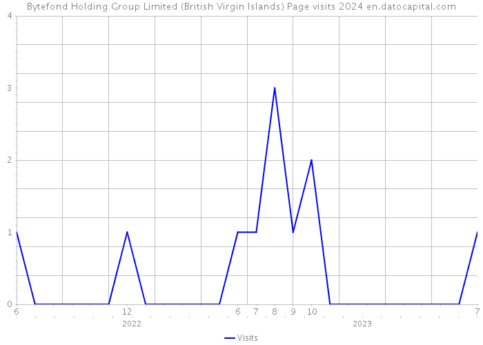 Bytefond Holding Group Limited (British Virgin Islands) Page visits 2024 
