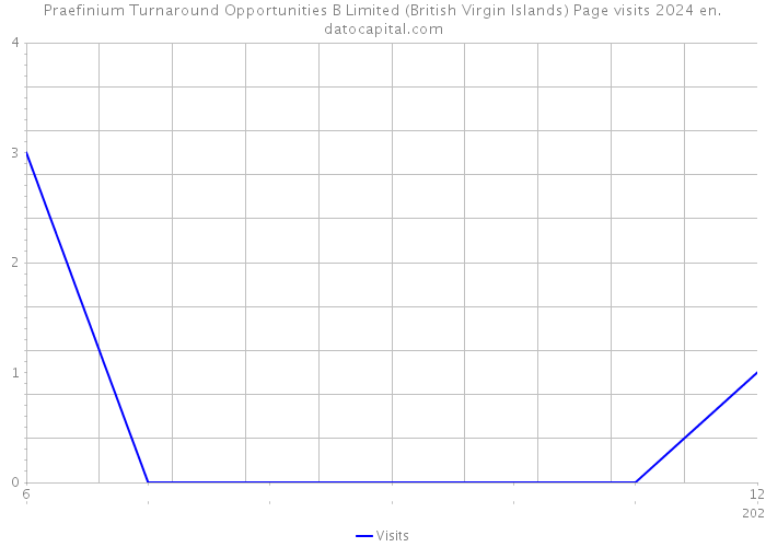 Praefinium Turnaround Opportunities B Limited (British Virgin Islands) Page visits 2024 