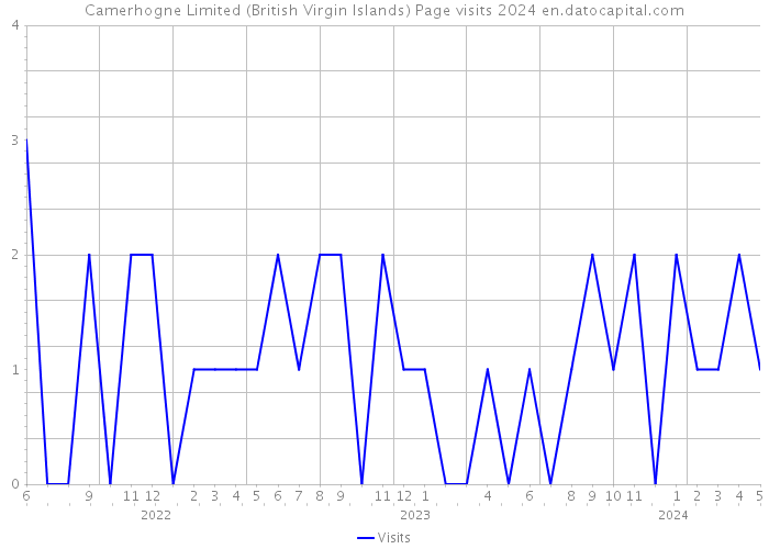 Camerhogne Limited (British Virgin Islands) Page visits 2024 