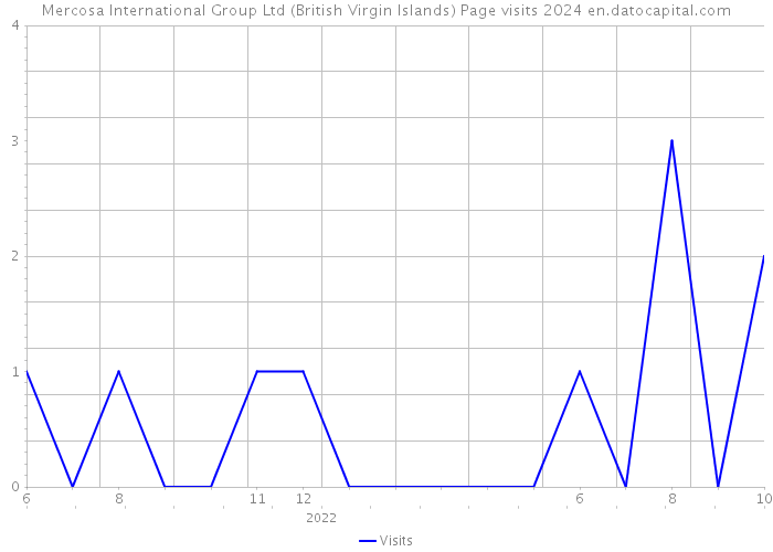 Mercosa International Group Ltd (British Virgin Islands) Page visits 2024 