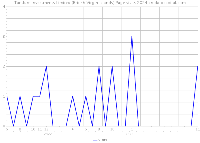 Tantlum Investments Limited (British Virgin Islands) Page visits 2024 