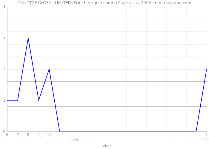YANGTZE GLOBAL LIMITED (British Virgin Islands) Page visits 2024 