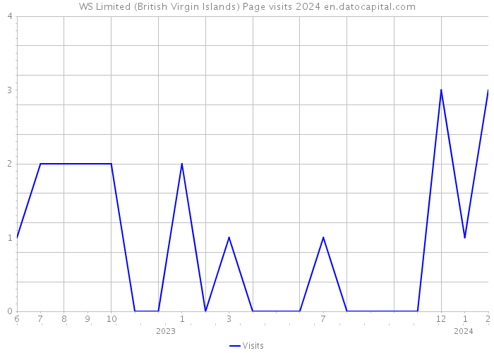 WS Limited (British Virgin Islands) Page visits 2024 