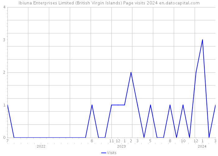 Ibiuna Enterprises Limited (British Virgin Islands) Page visits 2024 