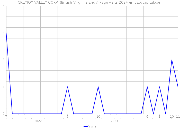 GREYJOY VALLEY CORP. (British Virgin Islands) Page visits 2024 