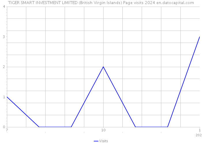 TIGER SMART INVESTMENT LIMITED (British Virgin Islands) Page visits 2024 