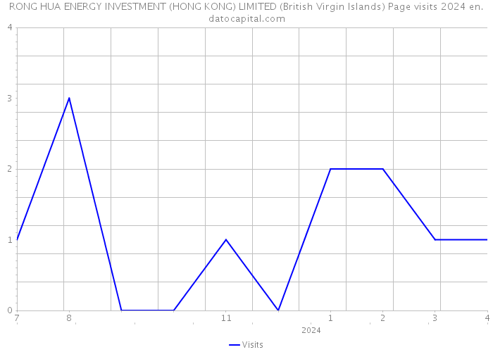 RONG HUA ENERGY INVESTMENT (HONG KONG) LIMITED (British Virgin Islands) Page visits 2024 