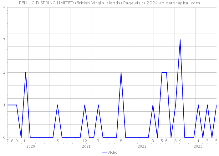 PELLUCID SPRING LIMITED (British Virgin Islands) Page visits 2024 