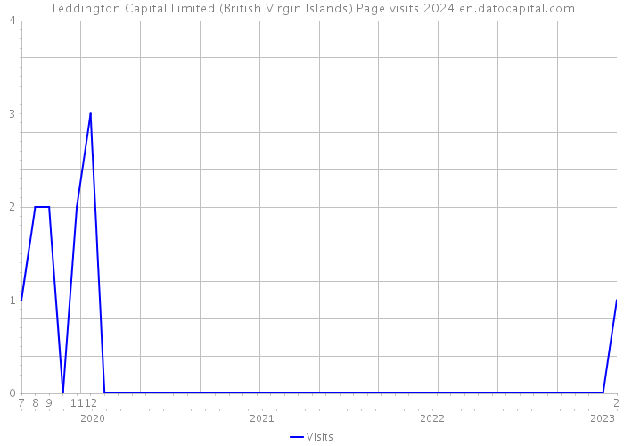 Teddington Capital Limited (British Virgin Islands) Page visits 2024 