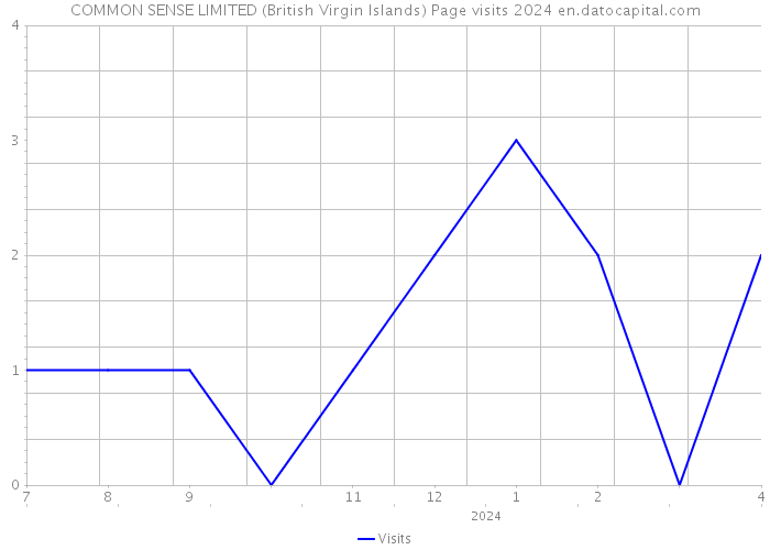 COMMON SENSE LIMITED (British Virgin Islands) Page visits 2024 