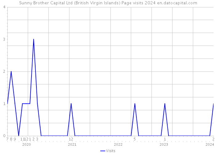 Sunny Brother Capital Ltd (British Virgin Islands) Page visits 2024 