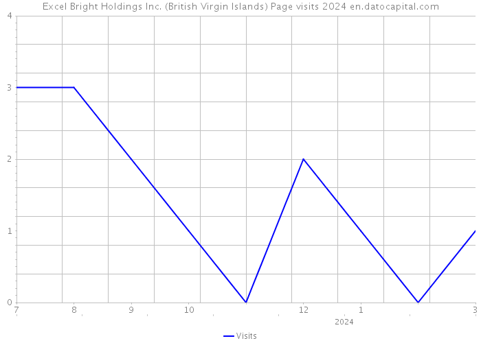 Excel Bright Holdings Inc. (British Virgin Islands) Page visits 2024 