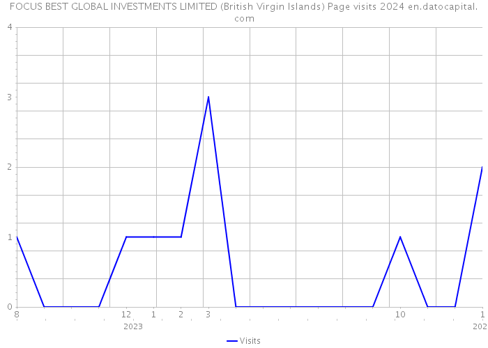 FOCUS BEST GLOBAL INVESTMENTS LIMITED (British Virgin Islands) Page visits 2024 