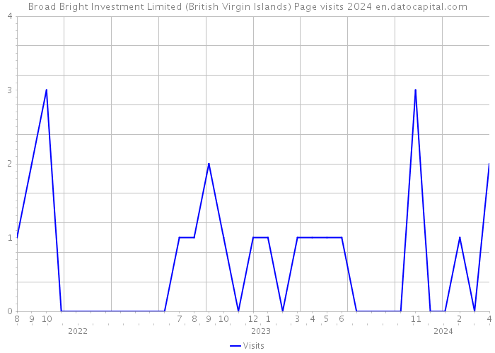 Broad Bright Investment Limited (British Virgin Islands) Page visits 2024 