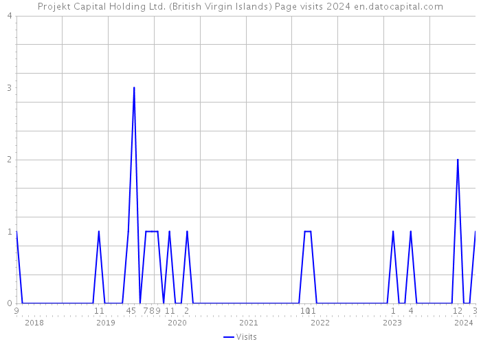 Projekt Capital Holding Ltd. (British Virgin Islands) Page visits 2024 
