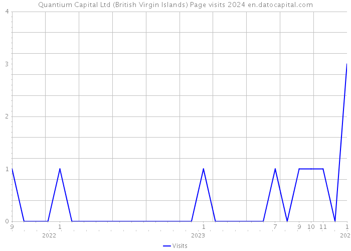Quantium Capital Ltd (British Virgin Islands) Page visits 2024 